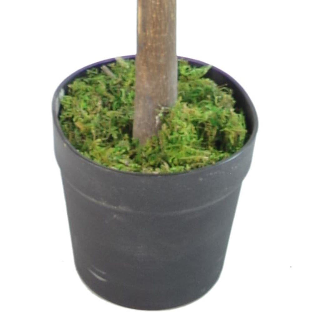 Botanik Red Green Ficus Artificial Plant with Real Wood Trunk in Pot 4.3ft Image 2