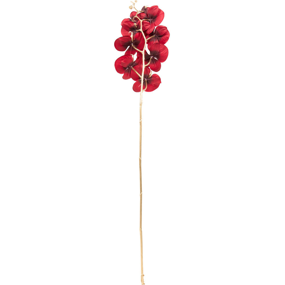Shimmer Orchid Stem Image 6