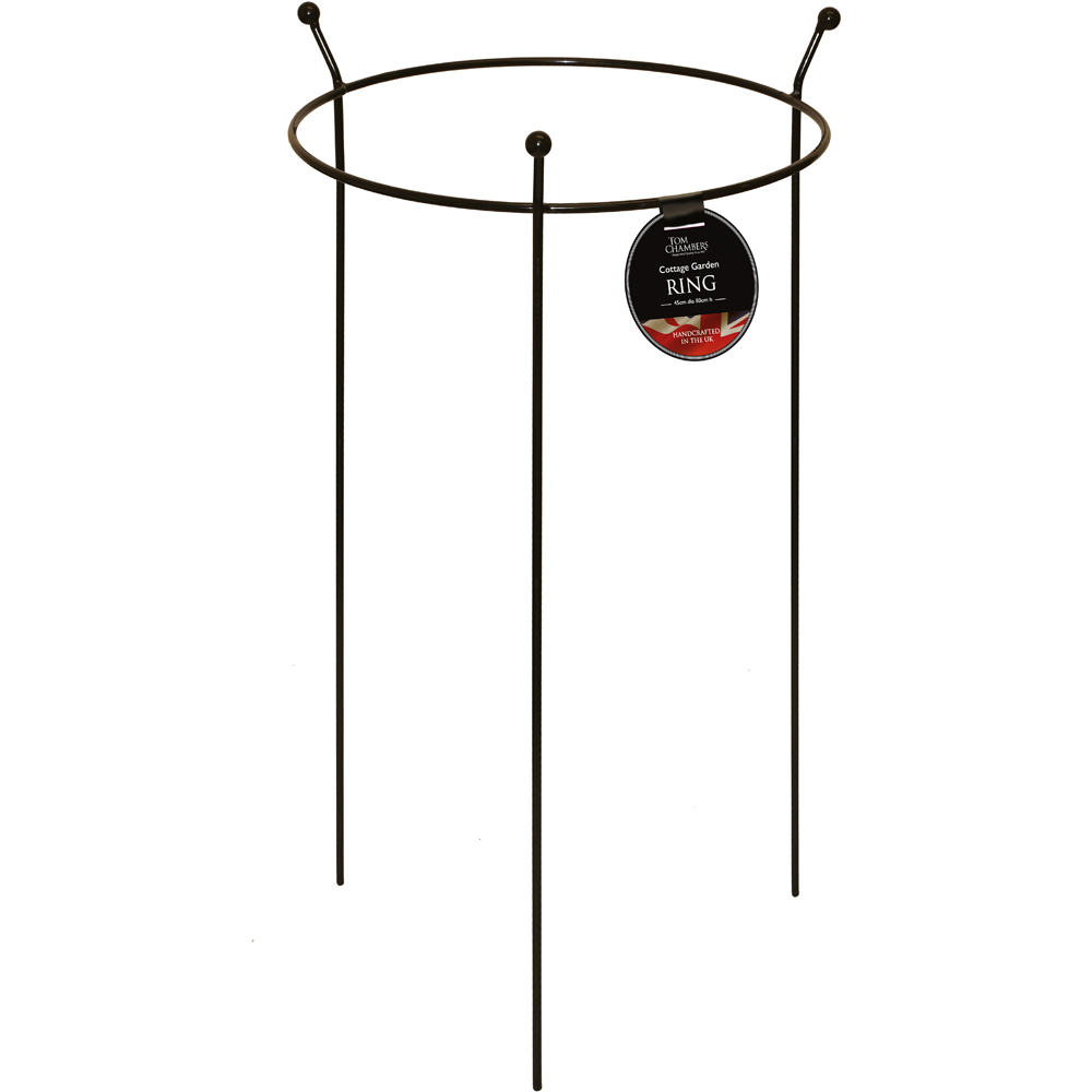 Samuel Alexander Black Metal Herbaceous Plant Support 80 x 45cm Image 1