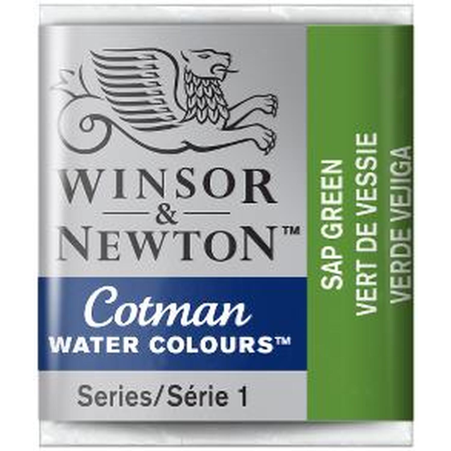 Winsor and Newton Cotman Watercolour Half Pan Paint - Sap Green Image