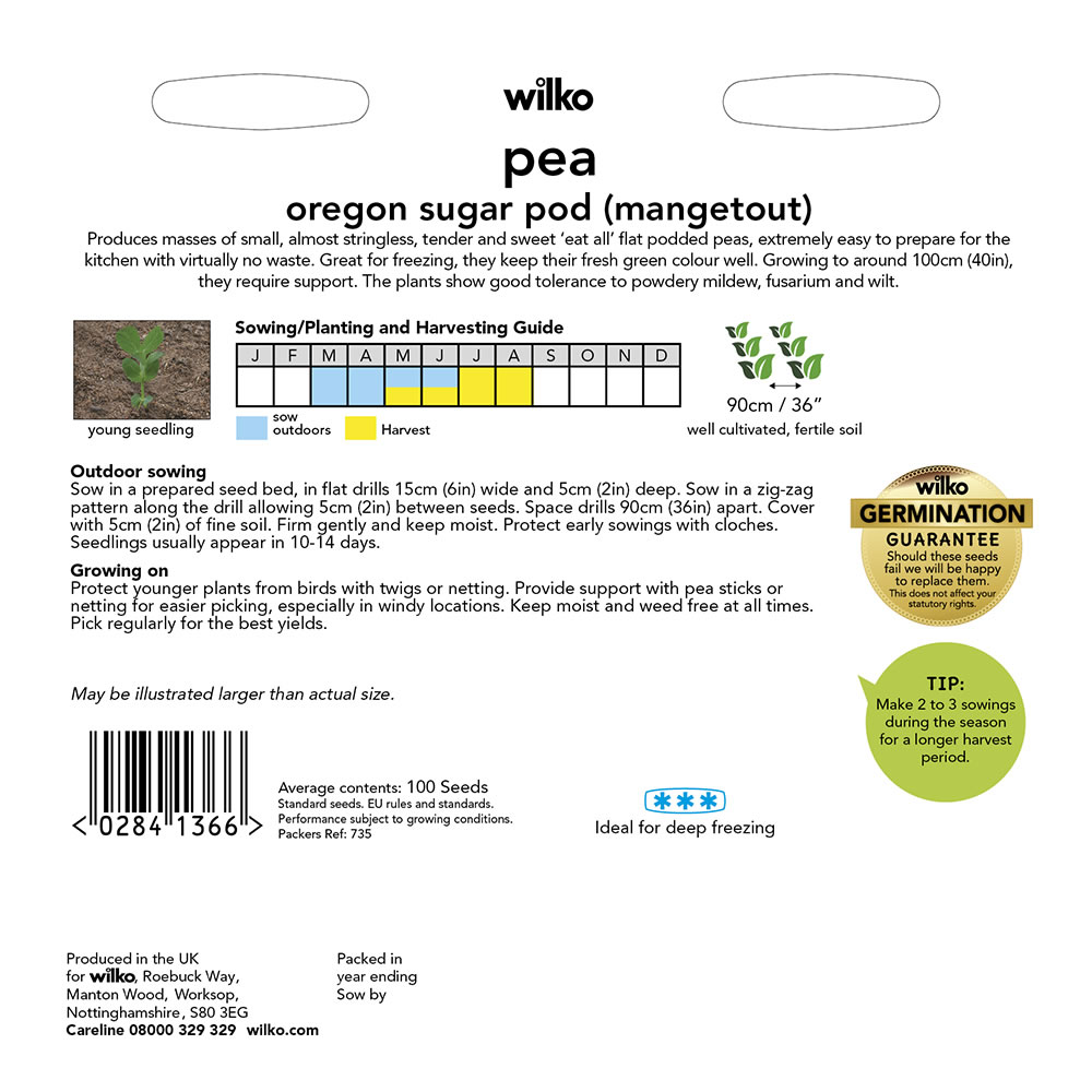 Wilko Pea Mangetout Oregon Seeds Image 3