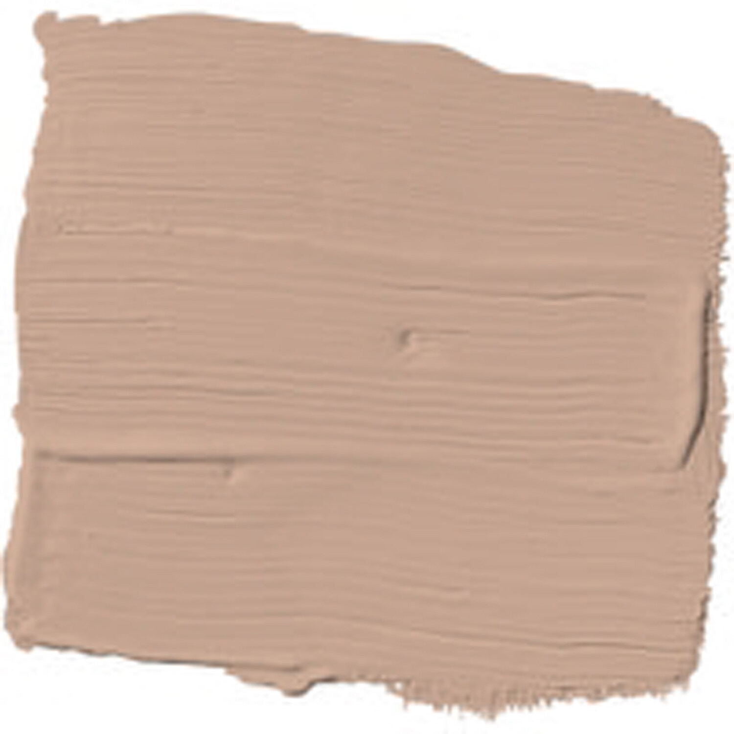 MY Colour Paint Tester Pot Sombrero Tan Image 2