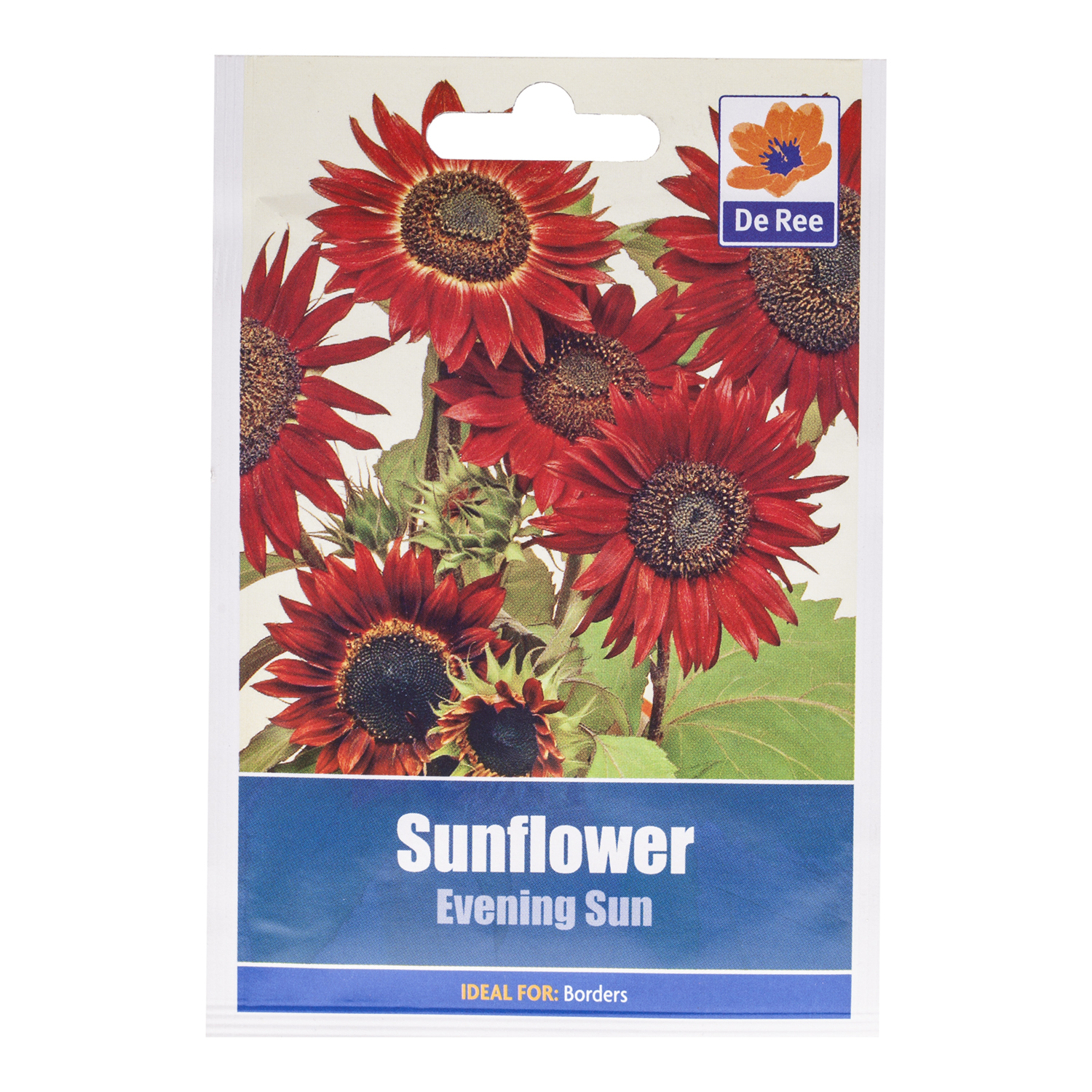 Evening Sun Sunflowers Seed Packet Image