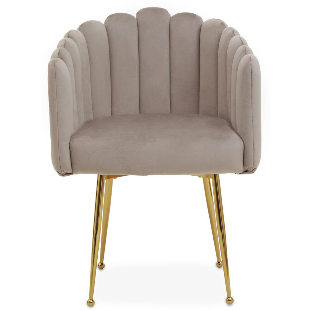 Premier Housewares Bari Mink Velvet Scalloped Dining Chair Image 2