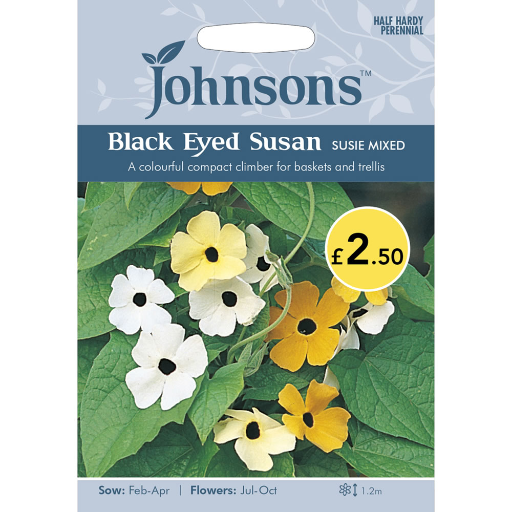Johnsons Black Eyed Susan Susie Mixed Flower Seeds Image 2