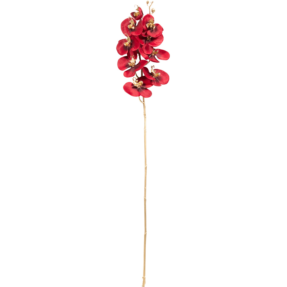 Shimmer Orchid Stem Image 5