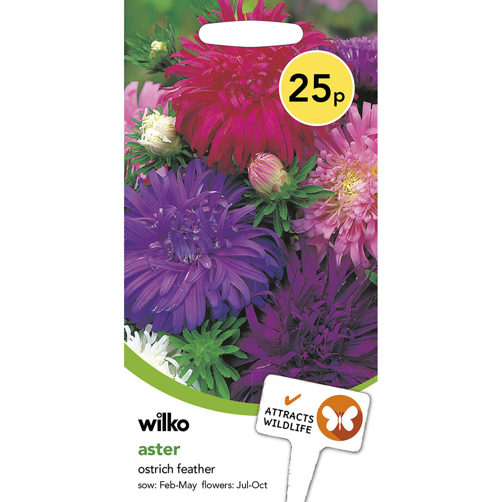 Wilko Aster Ostrich Feather Seeds Image 2