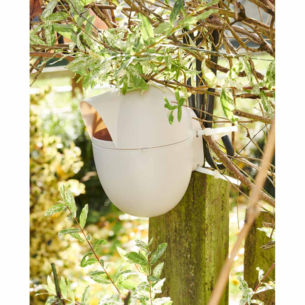 Wilko Wild Bird Nest Egg Wilko