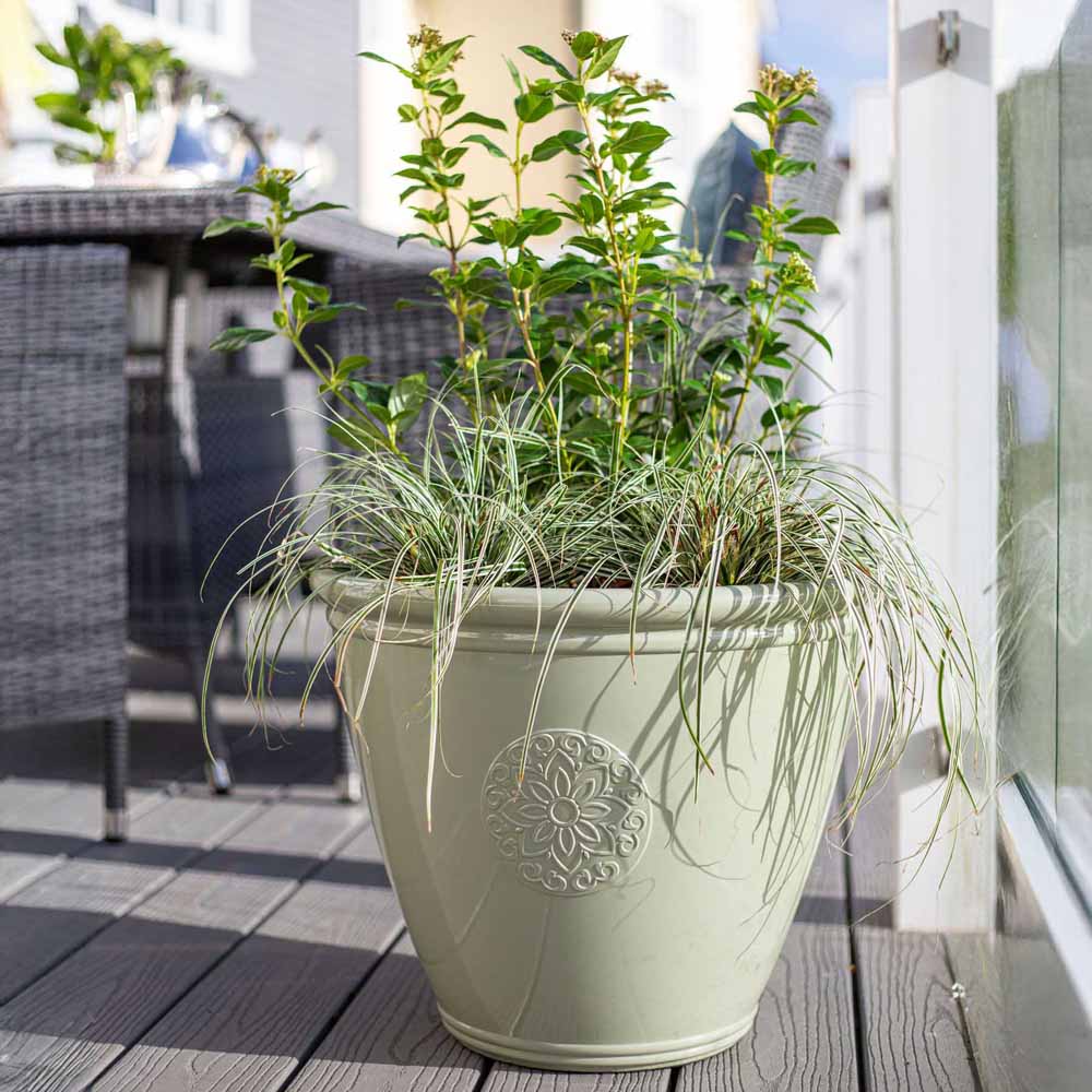 Plant Avenue Eden Emblem Green Plant Pot 40cm Image 5