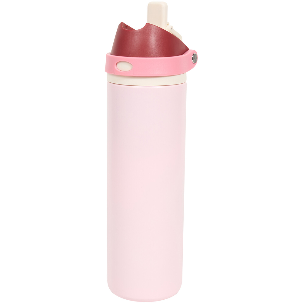 Stainless Steel 2 Way Lid Bottle with Straw Pink Image 4