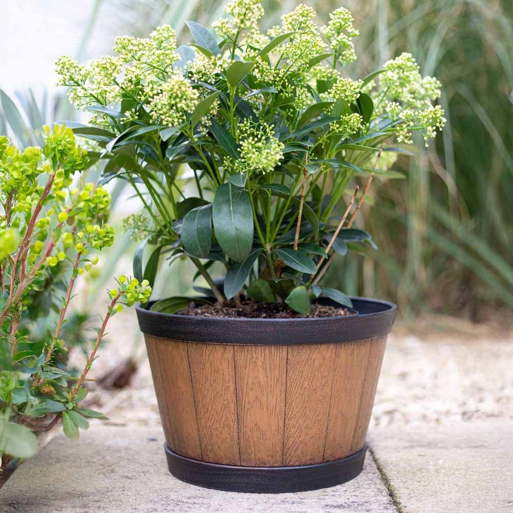 Plant Avenue Oban Light Oak Whiskey Barrel Planter 33cm Image 5