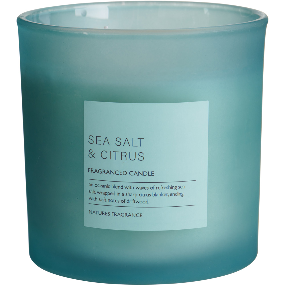 Nature's Fragrance Sea Salt and Citrus Jar Candle Large Image 1