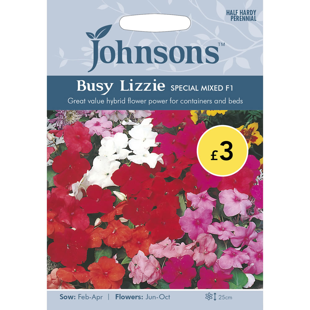 Johnsons Busy Lizzie Special Mix Flower Seeds Image 2