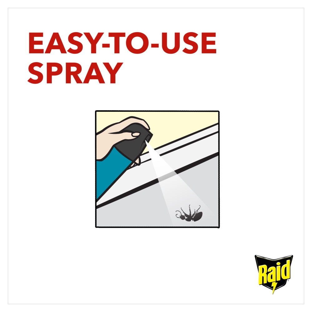 Raid Protector Fly Wasp and Mosquito Killer 300ml Image 4
