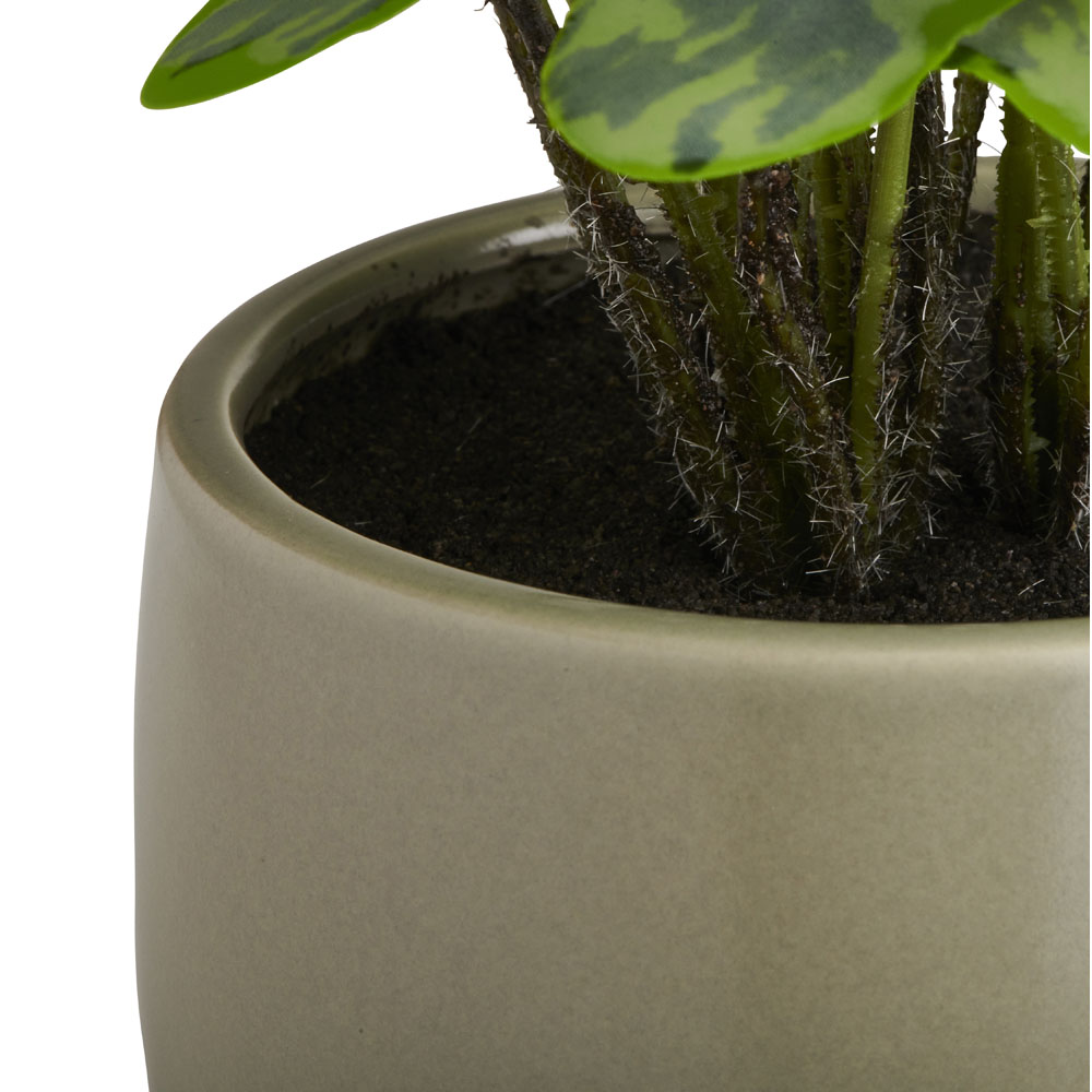 Soft Sanctuary Faux Plant In Footed Pot Image 3