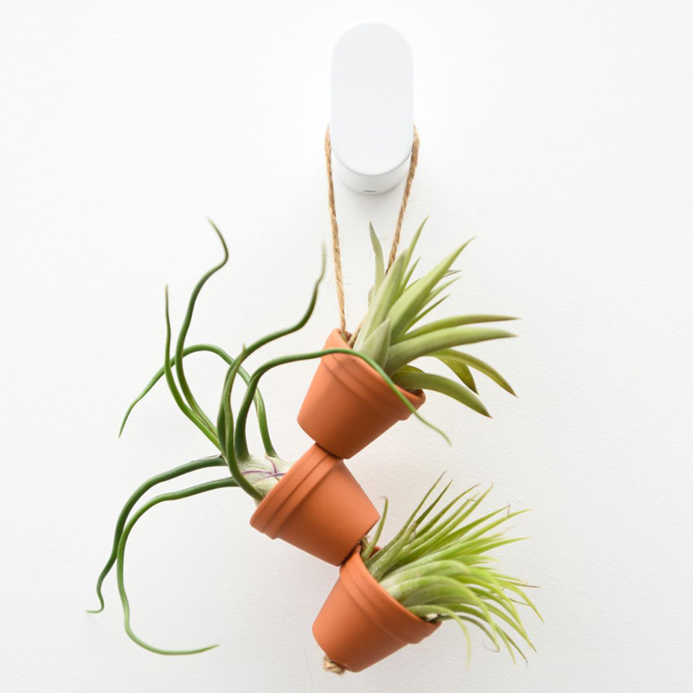 Thompson and Morgan Mini Air Plant Pot on Rope 3 Pack Image 1
