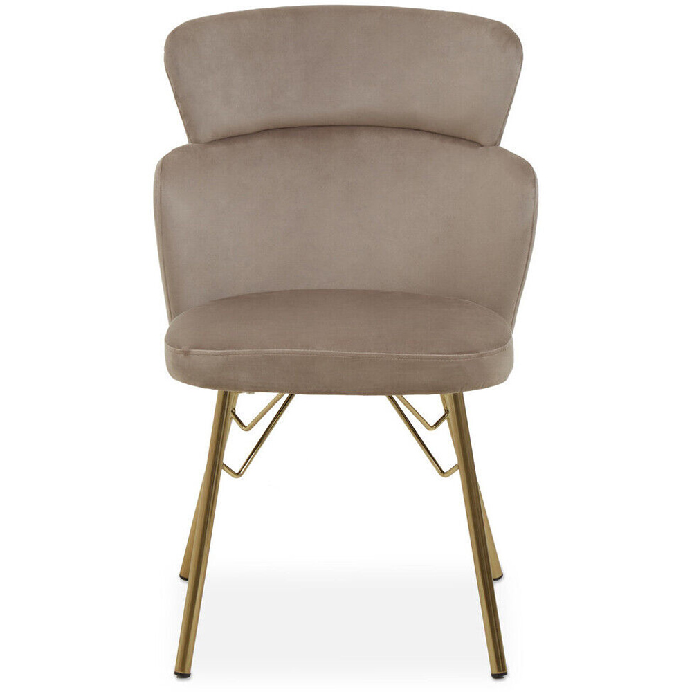 Premier Housewares Veneto Mink Velvet Tiered Back Accent Chair Image 2