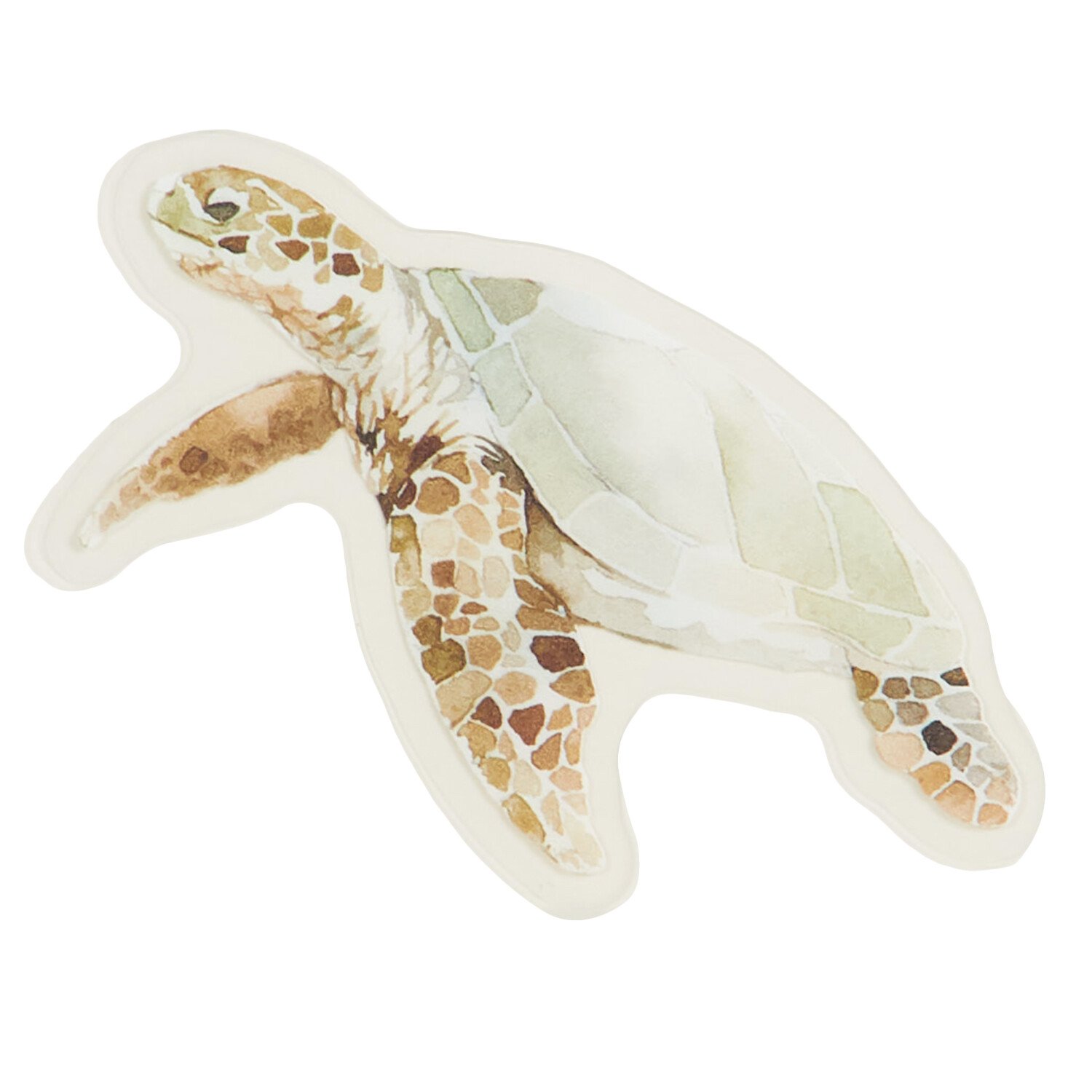 Pack of 18 Transparent Stickers - Multicolour / Sealife Image 4