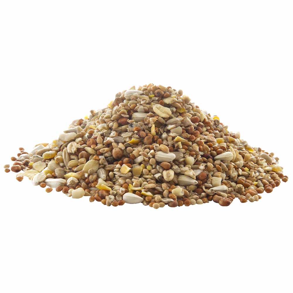 Peckish Complete 12 Seed Blend Wild Bird Seed 3kg Image 2