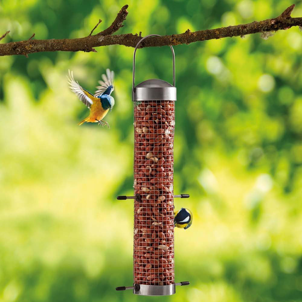 Happy Beaks Large Supa Domed Stainless Steel Nut Feeder Image 2
