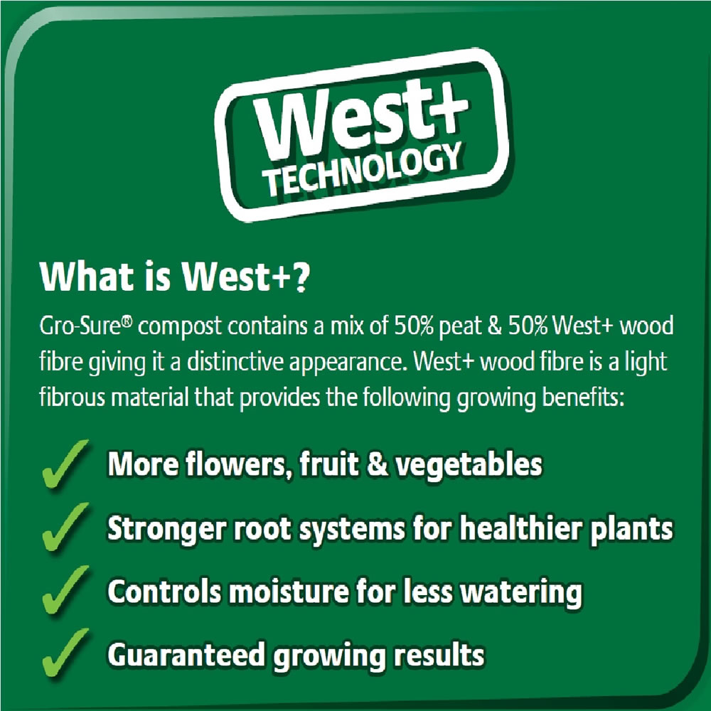 Westland Gro-Sure Ericaceous Compost 25L Image 2