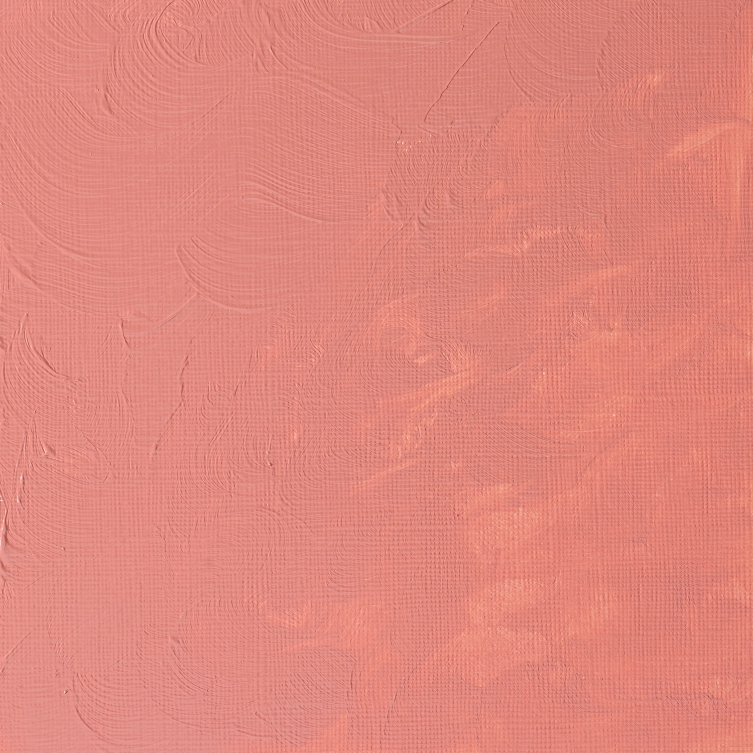 Winsor and Newton Griffin Alkyd Oil Colour - Pale Rose Blush Image 2