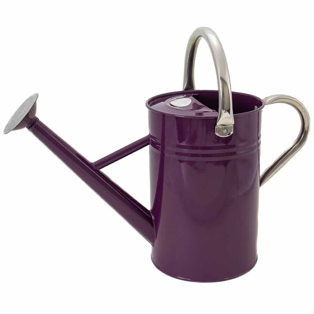 Kent and Stowe Deep Violet Watering Can 4.5L   Image 1