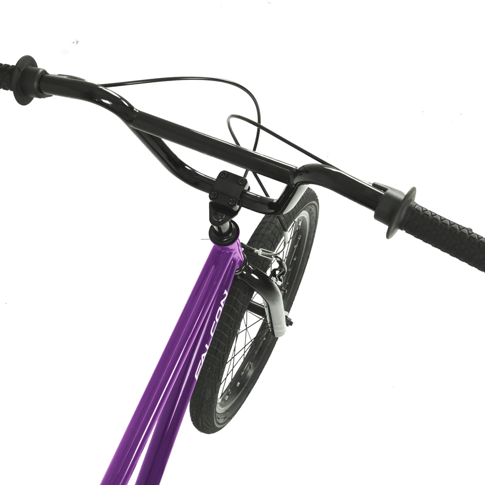 Falcon Storm 20-inch Purple BMX Bike Image 4