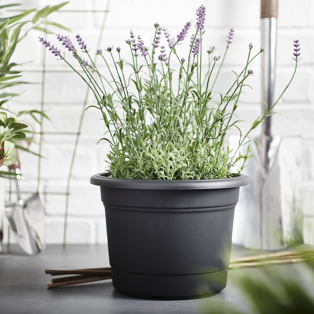 wilko black milano planter round 25cm wilko