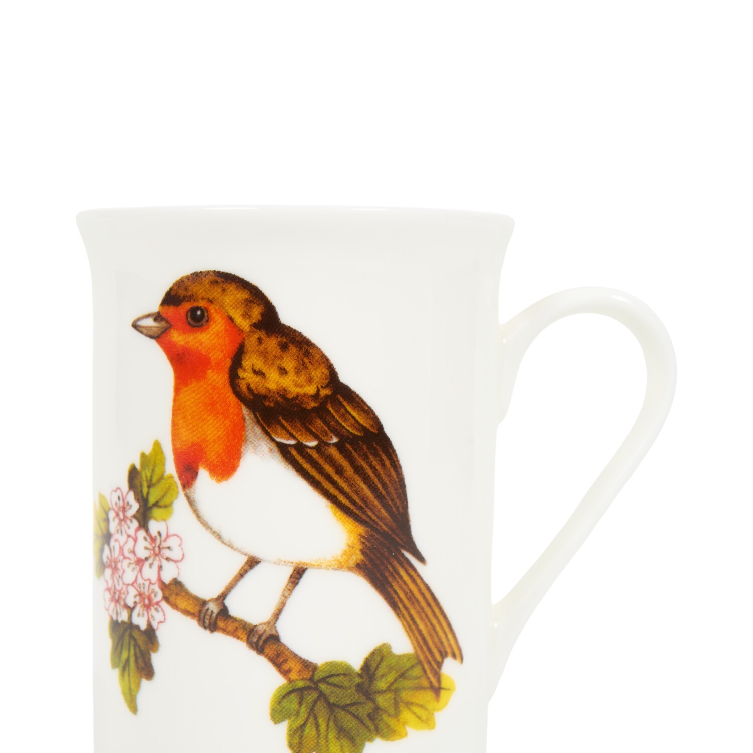 Panama Blue Tit or Robin Mug Image 7