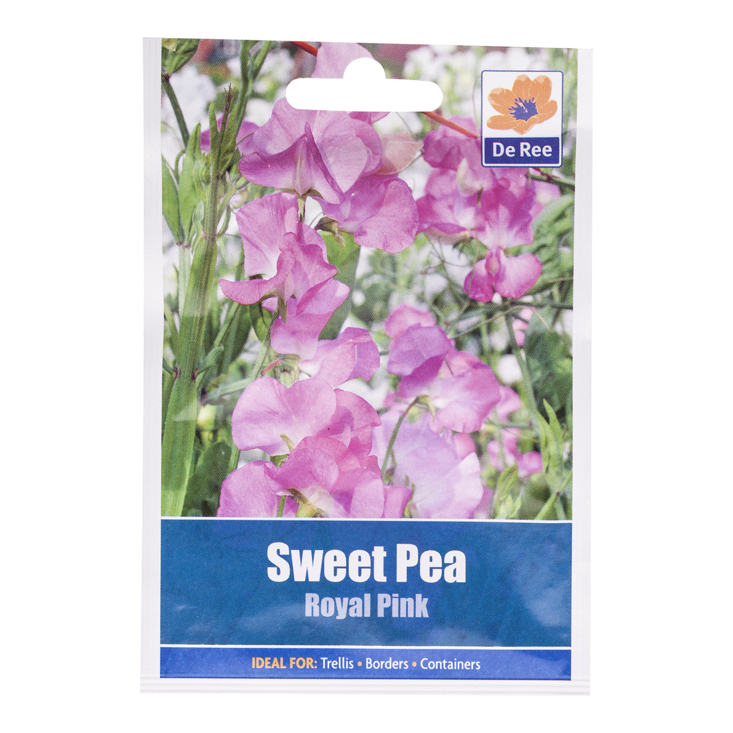 Sweet Pea Royal Pink Seed Packet Image