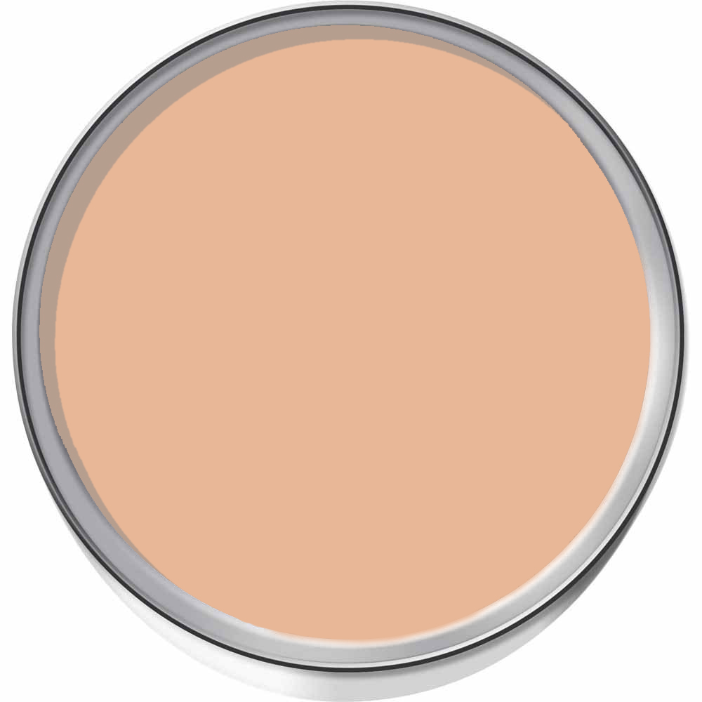 Craig & Rose 1829 Vintage Walls Wood and Metal Chatelaine Gloss Mixed Paint 2.5L Image 3