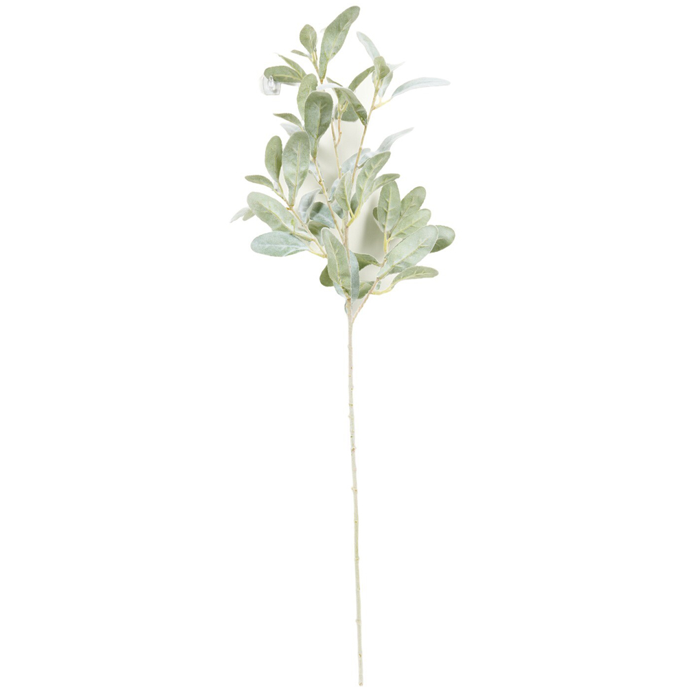 Frosted Lambs Ear Foliage Spray Green Image 4