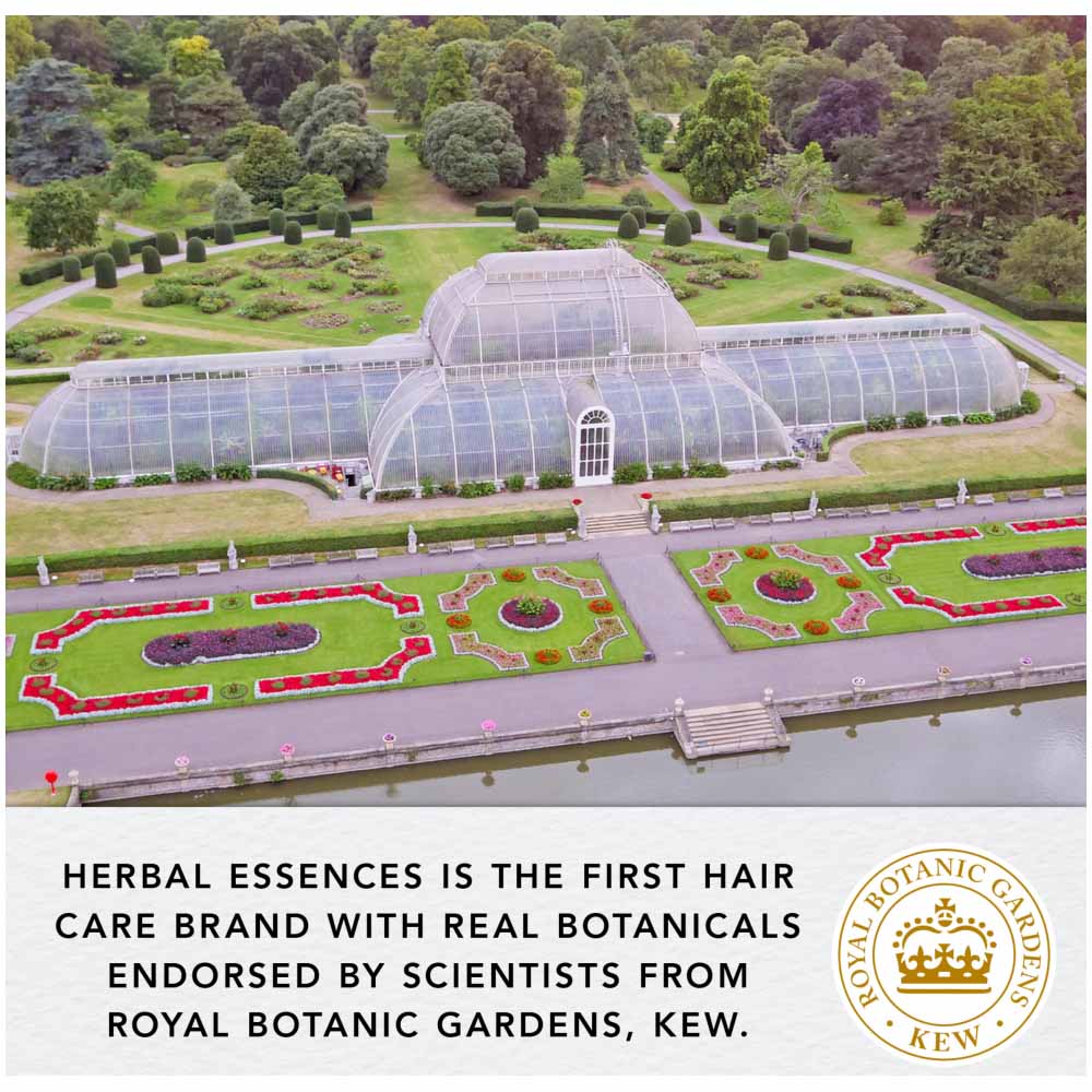Herbal Essences Argan Oil Hair Mask 250ml Image 8