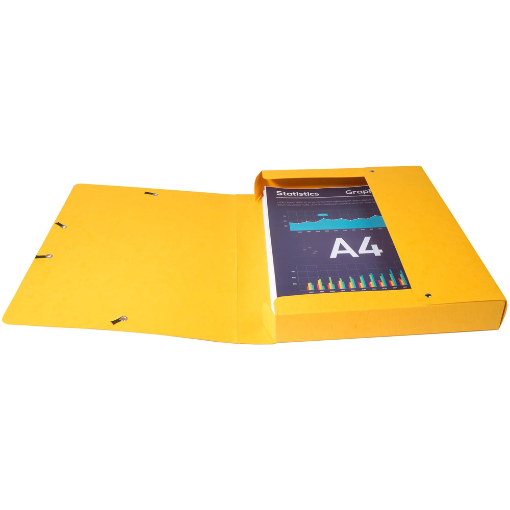 Exacompta Multicolour Elasticated Filing Box 10 Pack Image 5