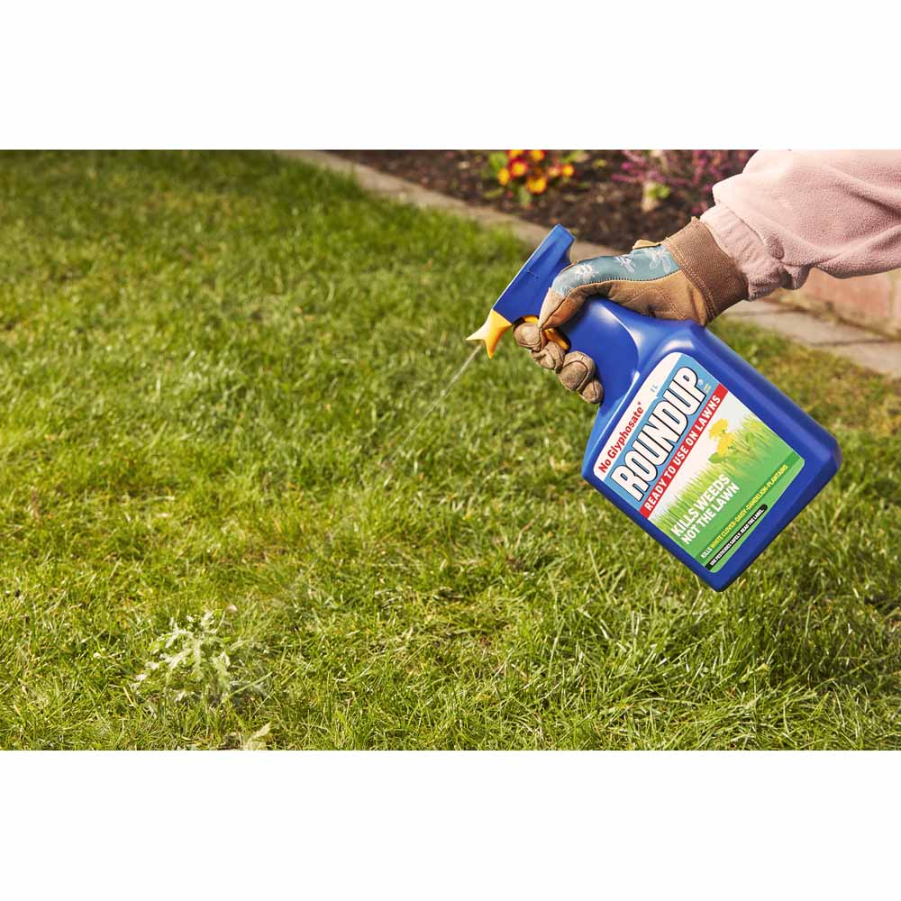 Roundup For Lawns Weedkiller 1L Image 4