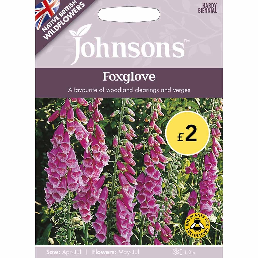 Johnsons Seeds Wild Flower Foxglove Image 2