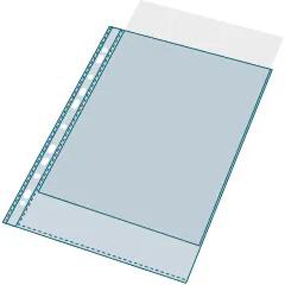 Exacompta A4 Translucent Crystal Grainy PP 100 Punched Pockets 10 Pack Image 4