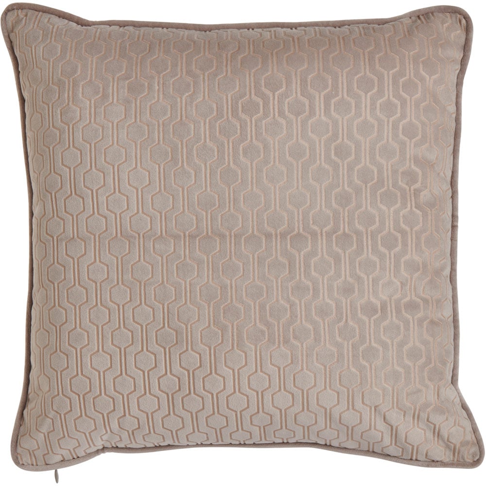 Wilko Mink Velvet Decorative Cushion 43 x 43cm Image 1
