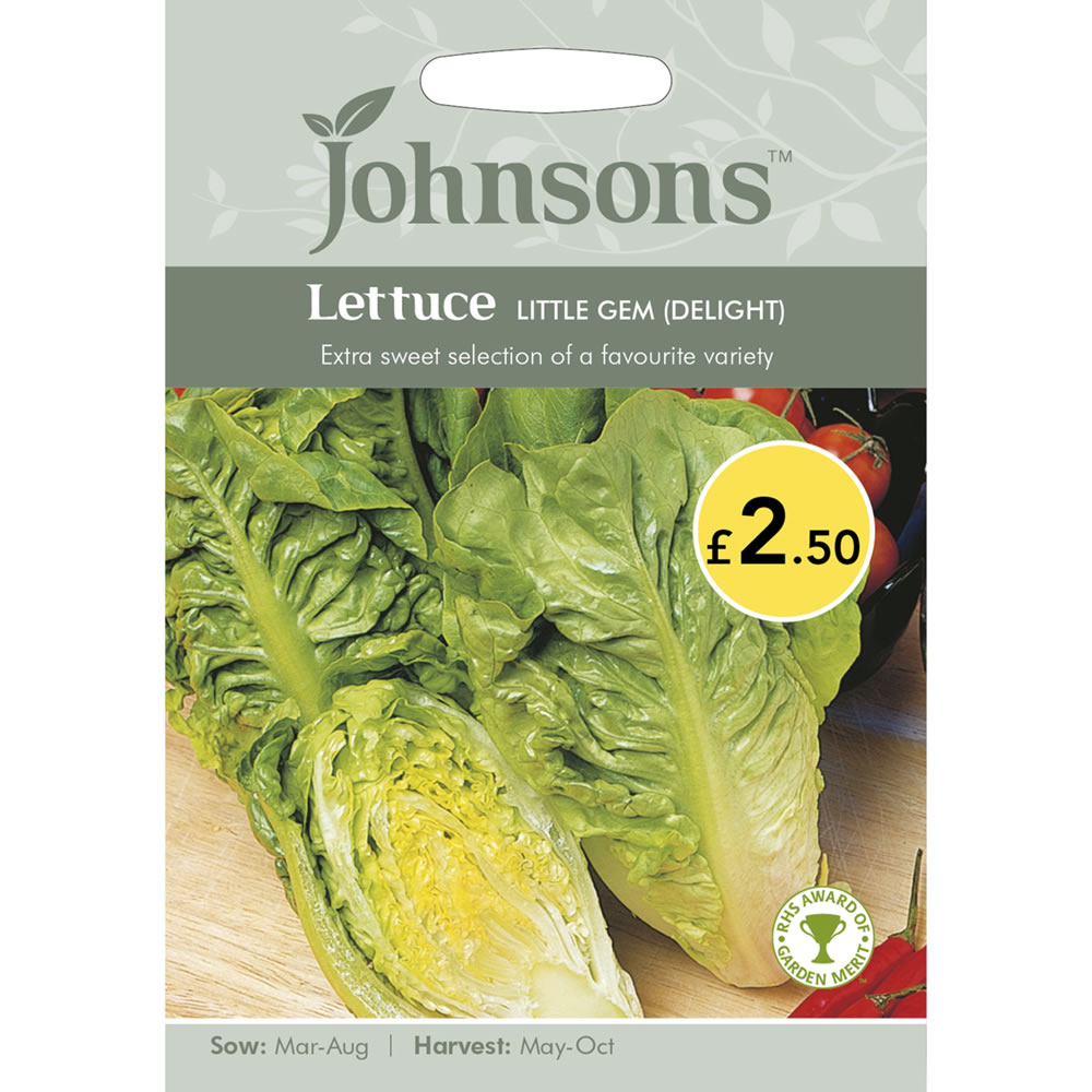 Johnsons Lettuce Delight Little Gem Seeds Image 2