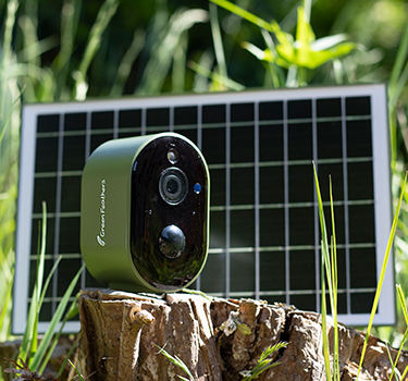 Category Box - Bird and Wildlife Cameras 375x350.jpg