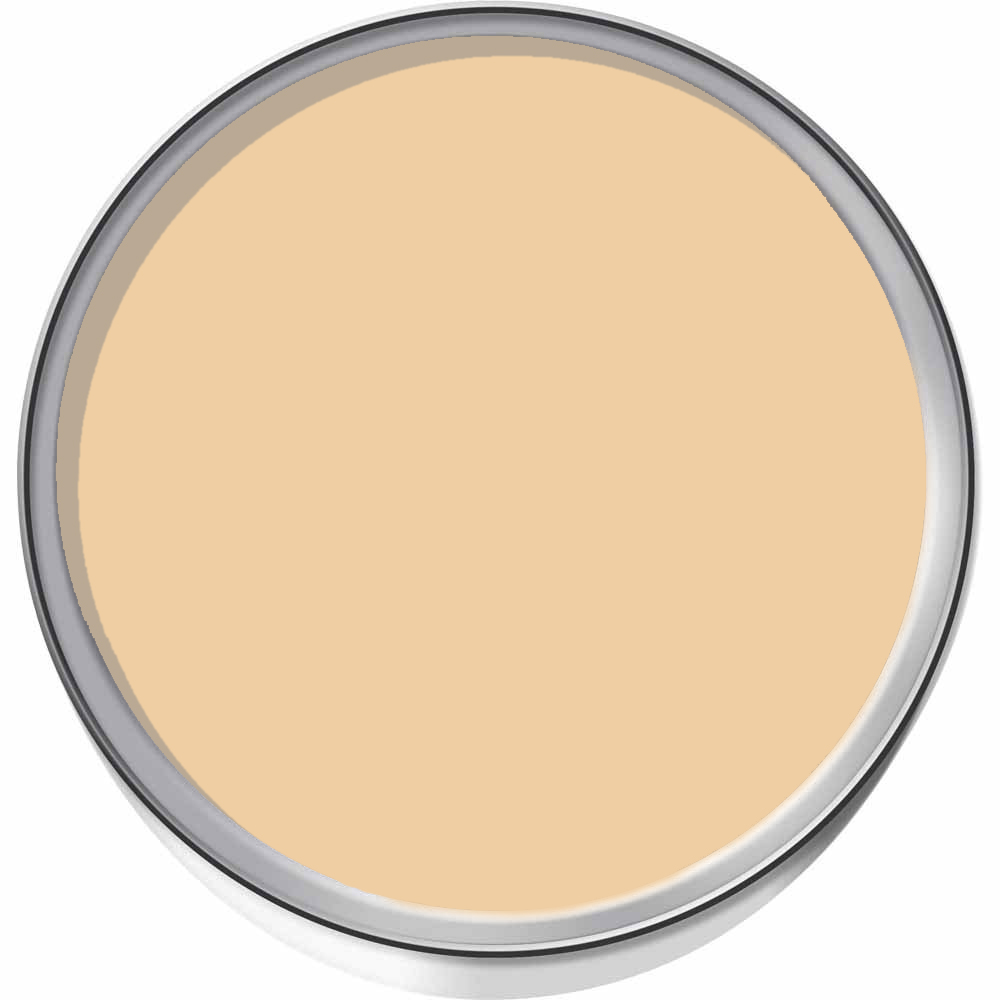 Craig & Rose 1829 Vintage Walls Wood and Metal Beauvais Cream Gloss Mixed Paint 2.5L Image 3