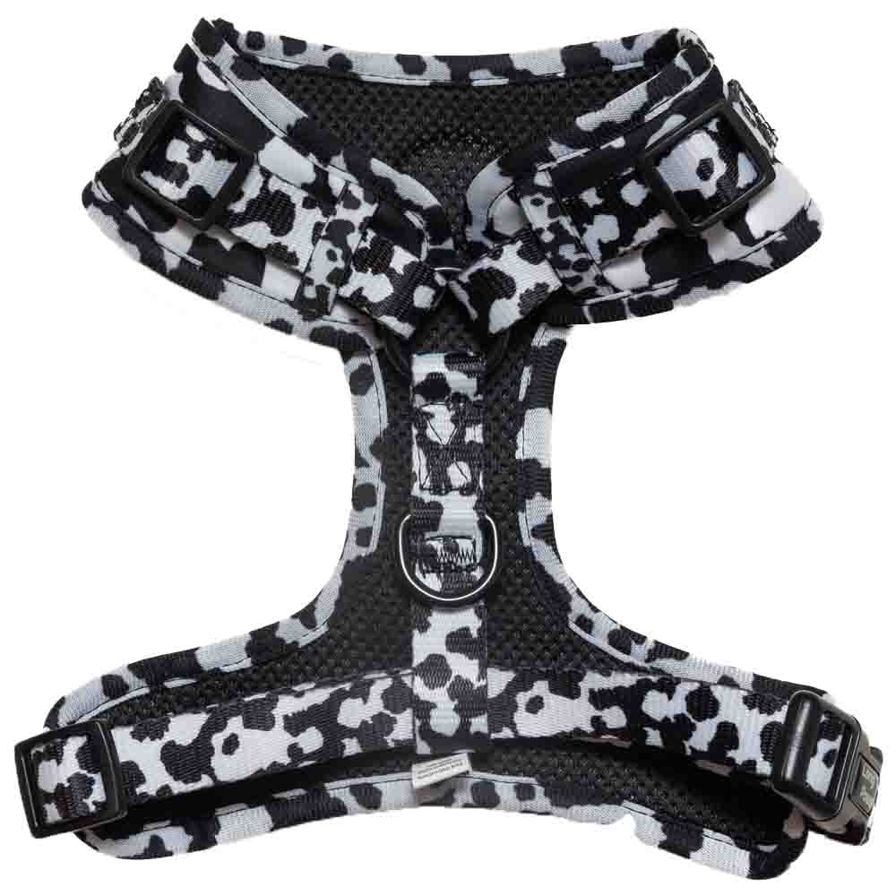 Long Paws Funk the Dog Small Cow Print Harness Image 3