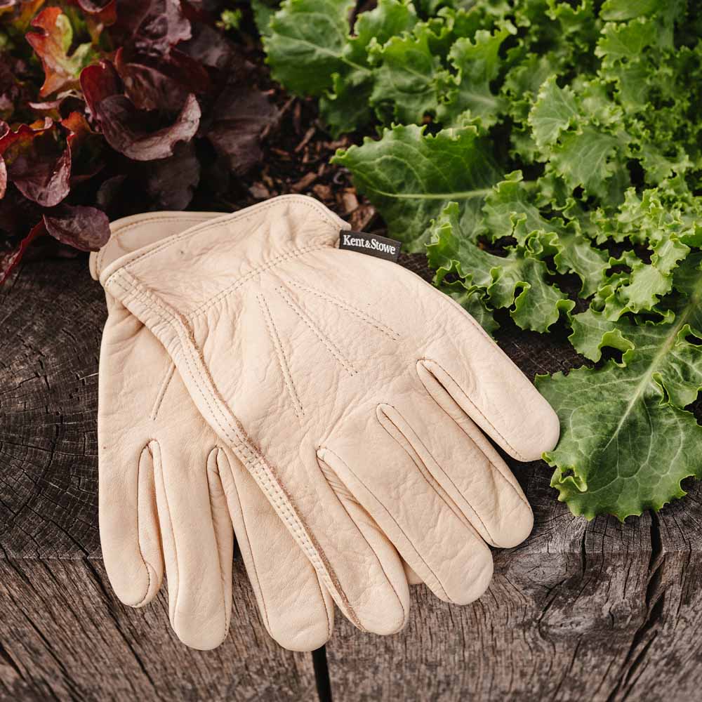 Kent and Stowe Small Ladies Luxury Leather Water Resistant Gloves Image 2