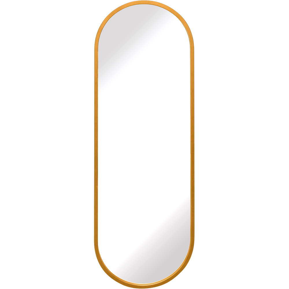 The Vultus Gold Double Arched Metal Leaner Wall Mirror 160 x 55cm Image 1