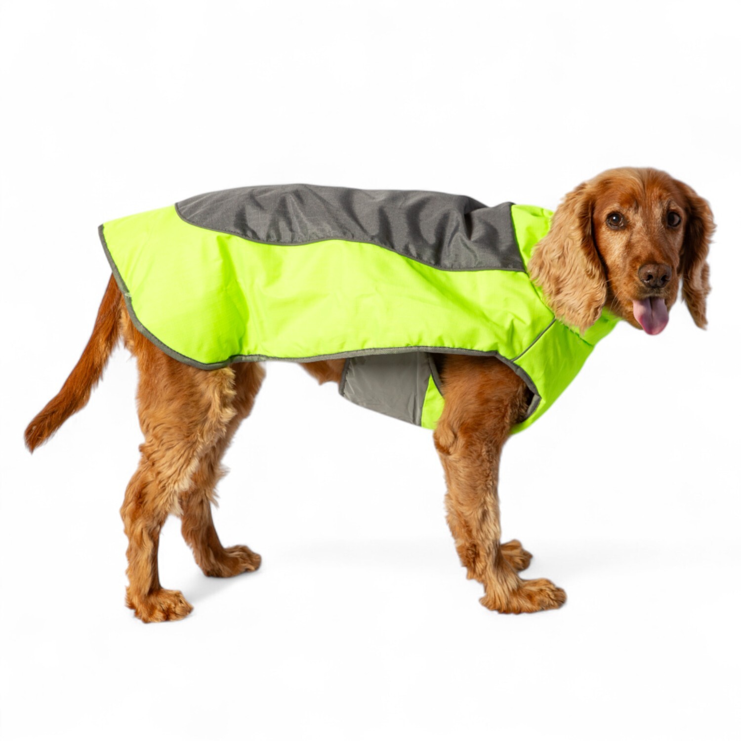 High Visibility Padded Dog Jacket Neon Green L Image 6
