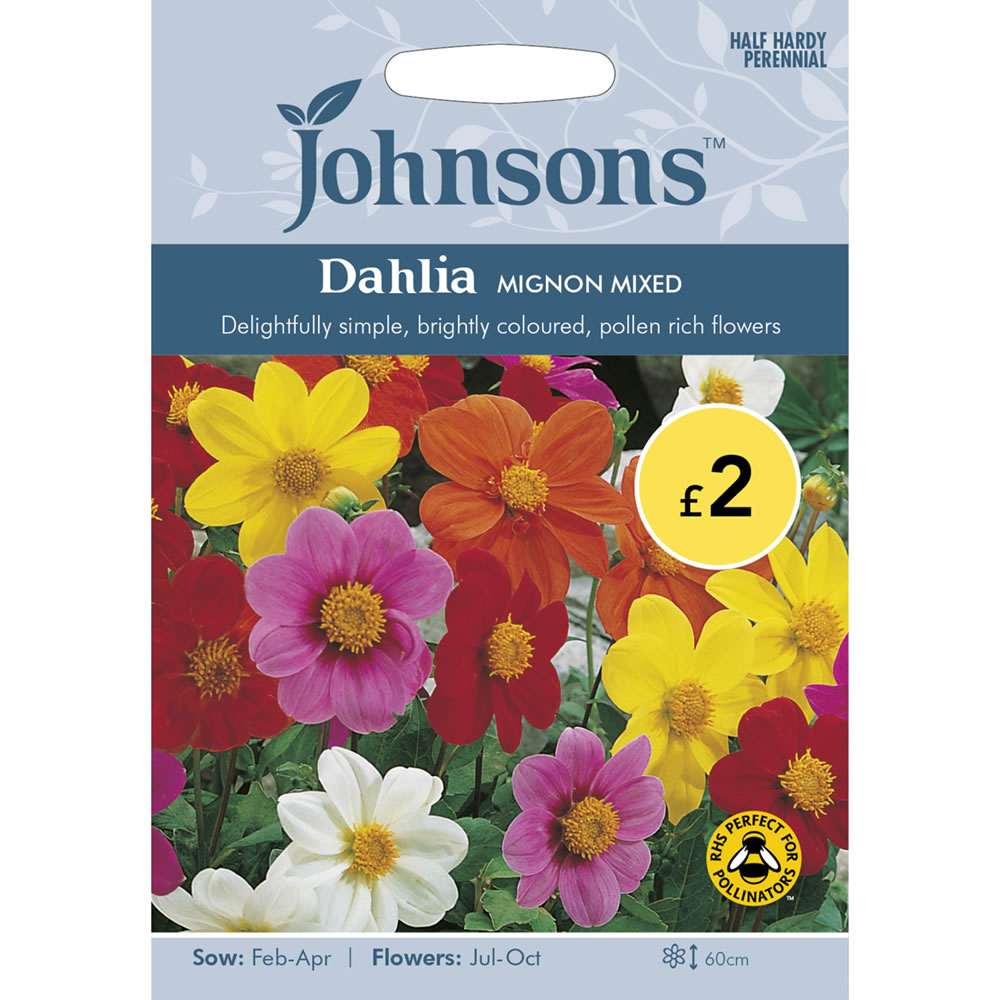 Johnsons Dahlia Mignon Mix Seeds Image 2