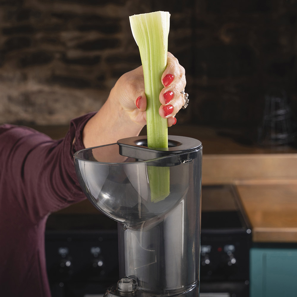Juicer wilko online