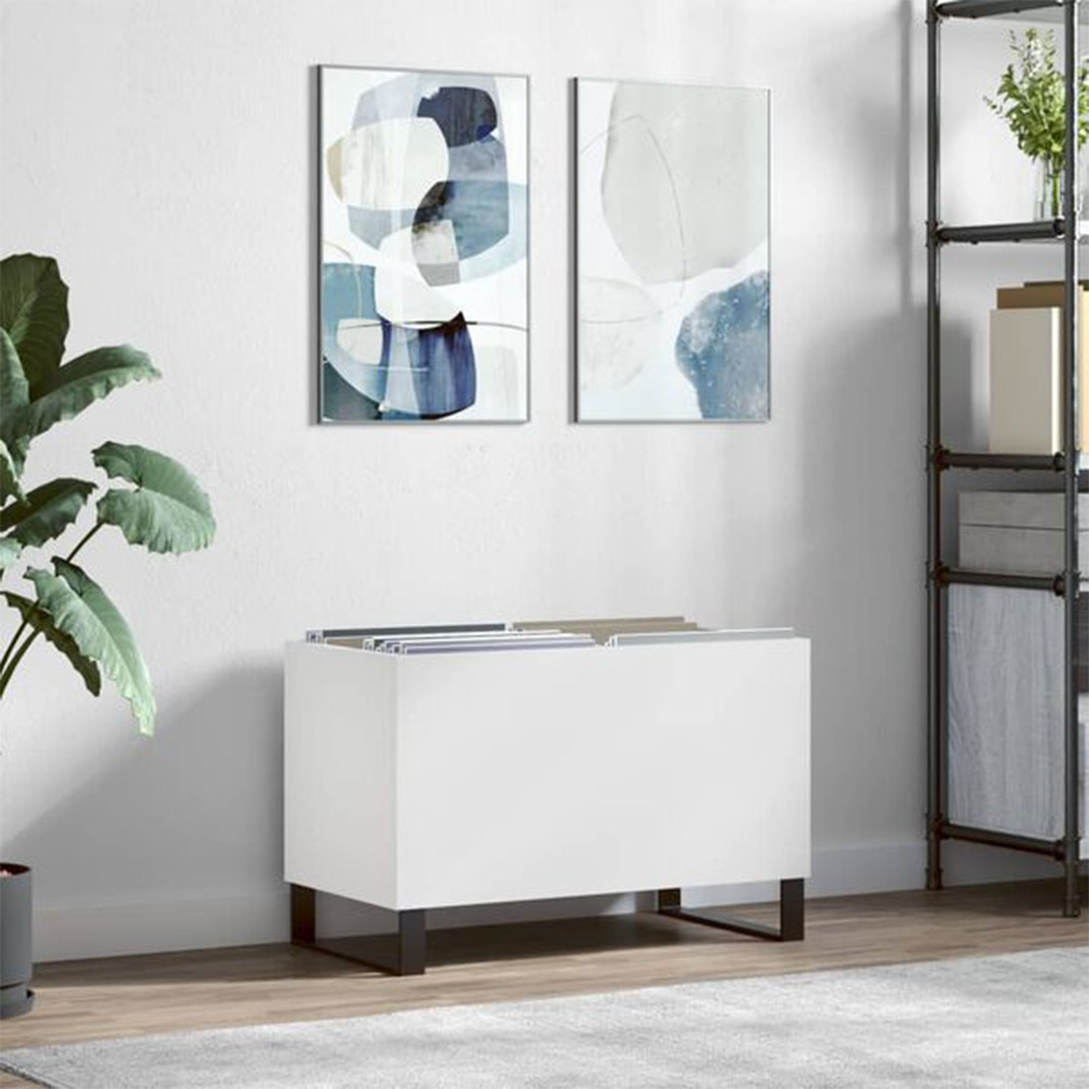vidaXL White Record Cabinet Image 8