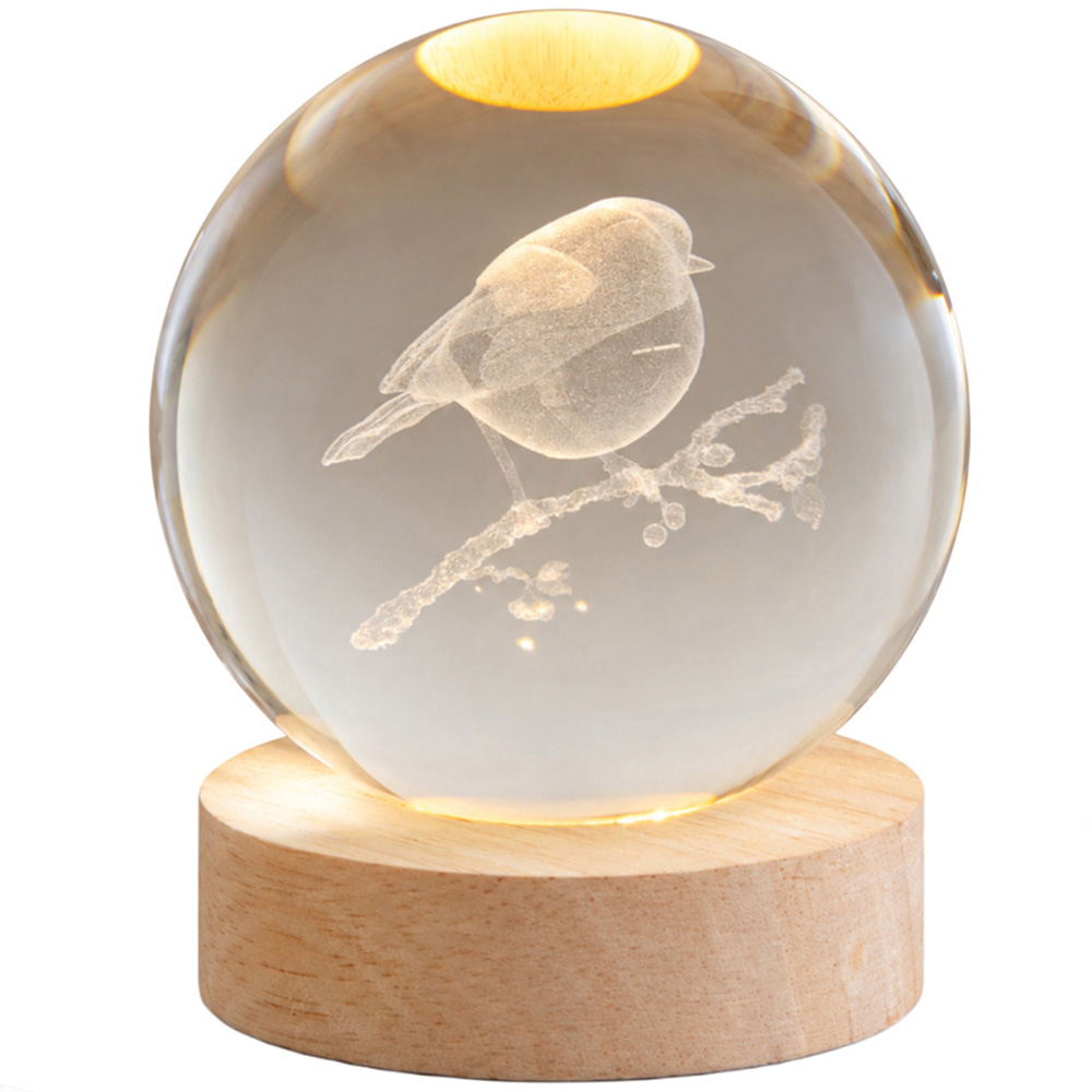 Samuel Alexander Warm White LED Etched 3D Robin Glass Globe USB Powered Christmas Decoration 10cm Image 1